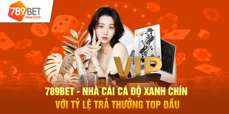 789Bet - Nhà Cái Cá Độ Xanh Chín Với Tỷ Lệ Trả Thưởng Top Đầu