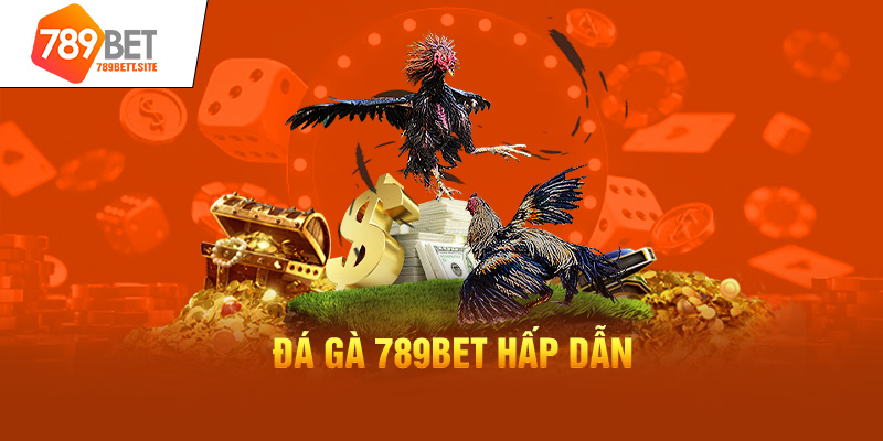 Đá gà 789Bet hấp dẫn