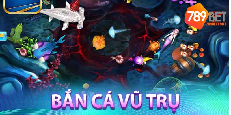 Tìm hiểu đôi nét về FC Bắn Cá Vũ Trụ 789Bet