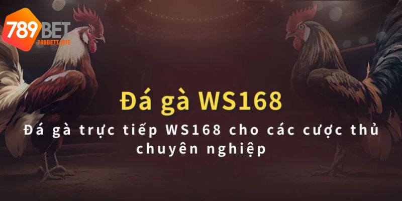 Tổng hợp các hình thức đá gà ws168 siêu hấp dẫn tại 789bet