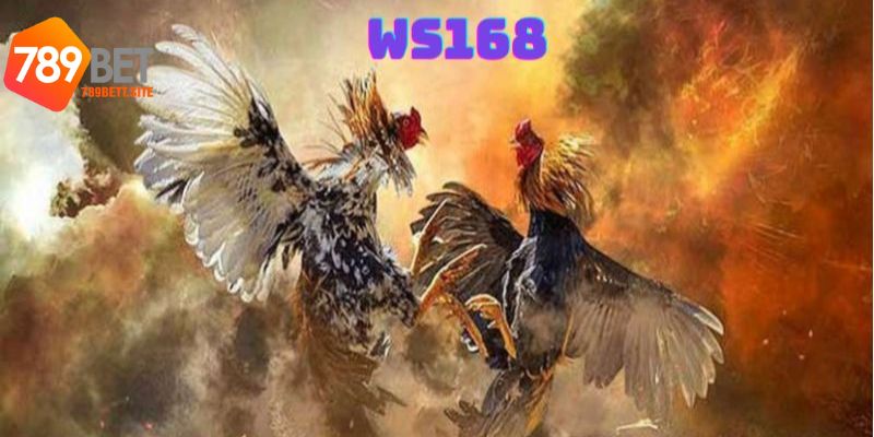 Giới thiệu đôi nét về sảnh game đá gà ws168 tại 789bet